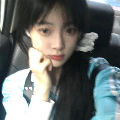 美鸟伴身边