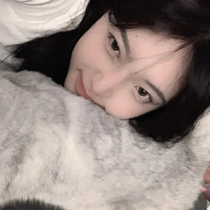 春风沉醉的夜晚